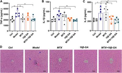 Anti-inflammatory and Pro-apoptotic Effects of 18beta-Glycyrrhetinic Acid In Vitro and In Vivo Models of Rheumatoid Arthritis